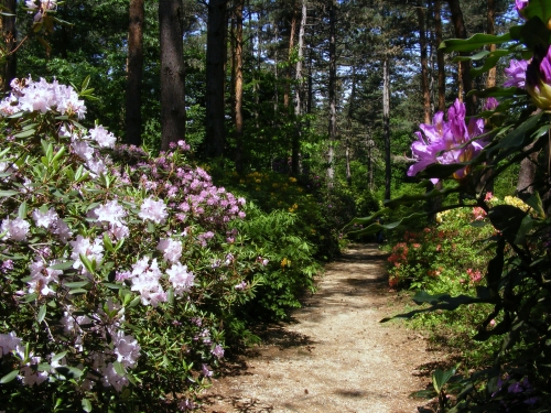Virágösvény a Jeli Arborétum egy csendes zugában