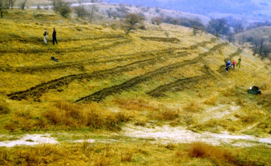 A Nagy-Strázsa-hegy mögött 1992-ben fásítást végeztünk, közel 20 ezer csertölgy telepítésével