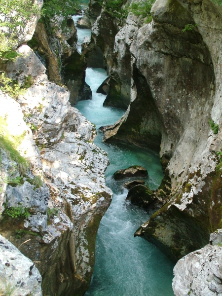 Részlet a Soča-folyó vadregényes szurdokából