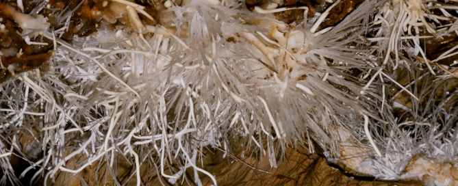 Vasvirág (aragonit) az Ochtinai-barlangban