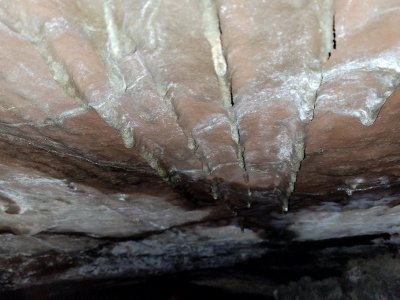 Cseppkőléchez hasonlító képződmények, valójában lávanyúlványok az egyik barlang főtéjén